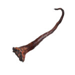 Queue de bœuf fumée